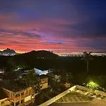 Vivaz